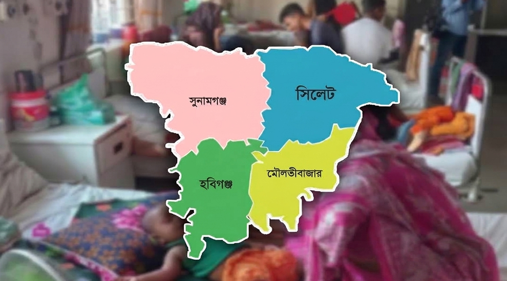 সিলেটে যে ভাইরাসে মিললো দুই প্রা ণ হা নি র খবর