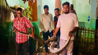 শ্রীমঙ্গলে খাটের নিচ থেকে ১৬ ফুট লম্বা অজগর উদ্ধার