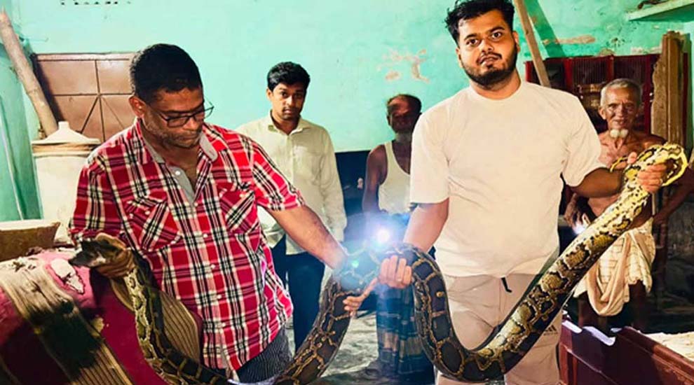 শ্রীমঙ্গলে বসতঘরের খাটের নিচে ‘হিস হিস’, আ ত ঙ্ক