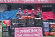 সিলেট সীমান্তে শিং মাছসহ জব্দ বিপুল পরিমাণ চো রা ই পণ্য