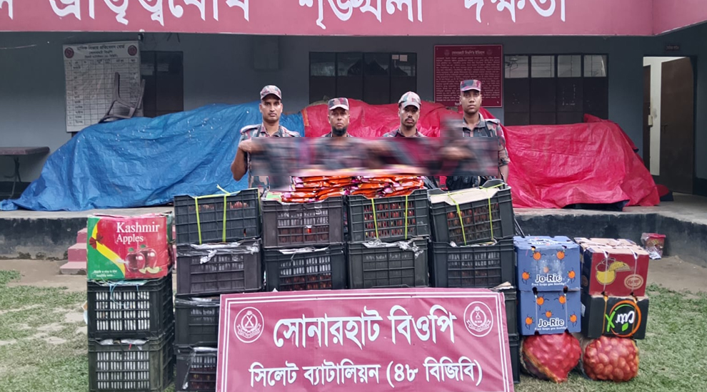 সিলেট সীমান্তে শিং মাছসহ জব্দ বিপুল পরিমাণ চো রা ই পণ্য