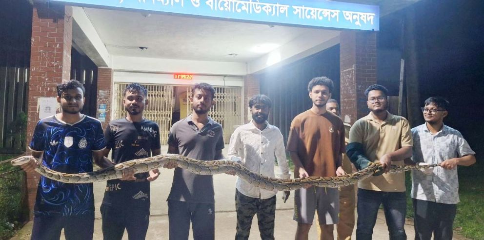 সিলেটে রাস্তা পারের চেষ্টায় ছিল ১২ ফুট লম্বা অজগর, অবশেষে অবমুক্ত