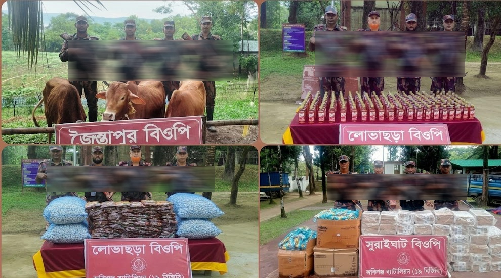 সিলেটে ১৯ বিজিবির অভিযান: ১৪ লাখ টাকার অবৈধ মালামাল জব্দ